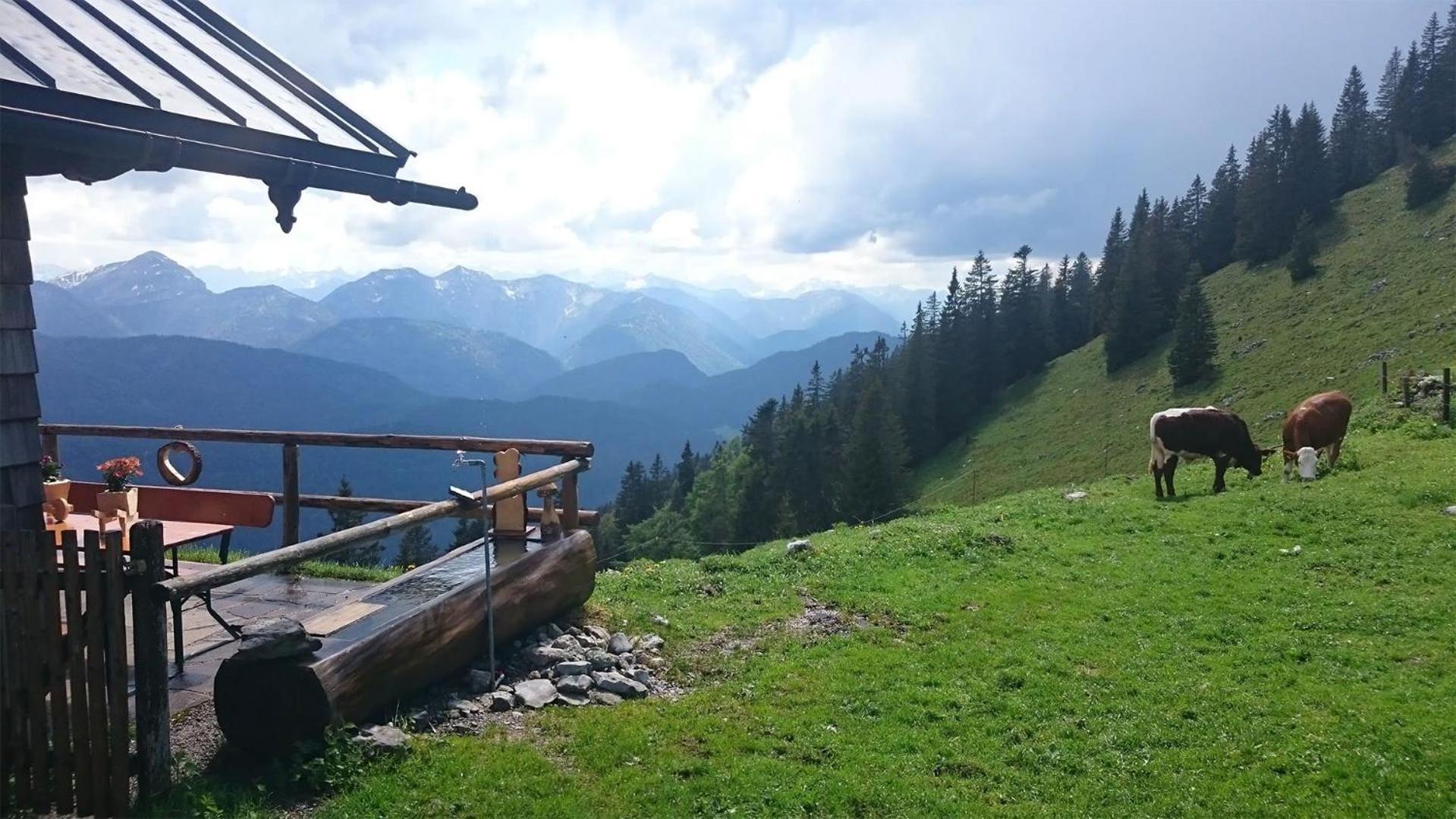 Haus Lesch - Stilvolle Appartements Mit Tollem Bergblick In Kreuth Am Tegernsee المظهر الخارجي الصورة